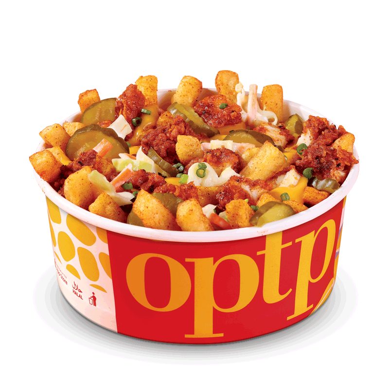 Loaded Nashville Fries (Large)